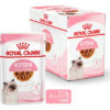 Royal Canin Pouch Kitten x 12 Unidades De 85g