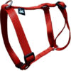 Arnes Perro Brakko Nylon Premium Fast Lock Medium