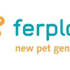 Comedero Y Bebedero Ferplast Glam Perros/gatos Small 0,4 L - Imagen 6
