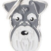Chapita Id Mascotas My Family Grabada Schnauzer!! - Imagen 4