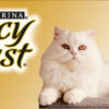 Fancy Feast Pouch Gato Goulash Pavo x 0,85 Gs. Pack x 15 Unidades - Imagen 4