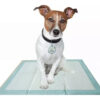 Paño Pañal Adiestramiento Puppy Pads P/perros 7 Unidades - Imagen 3