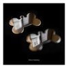 Chapita Id Mascotas Cromada Grabada Xlarge !! Tenela Hoy!! - Imagen 2