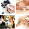 Toallitas Humedas Higienicas Para Perros Gatos Pañopet x 30 Un - Imagen 3