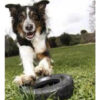 Juguete Kong Rueda Tire Traxx Small Perros Rellenable - Imagen 5