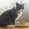 Mon Ami Alimentos Saludables Gato Adulto x 1.4 kg - Imagen 11