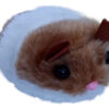 Juguete Vibrador Para Gatos Ratón Wiggle Mouse Cat