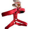 Arnes Perro Brakko Nylon Premium Fast Lock Large - Imagen 7