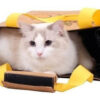 Bolso Ibiyaya Washable Kraft Paper P/perro/gato Hasta 6 Kg - Imagen 10