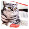 Serenex Feromonas Spray Para Gatos Felinos X 25 Ml - Imagen 8