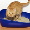 Piedra Sanitaria Aglutinante Zootec P/gato Ultra Absorbente x 4kg Pack x 4 Unidades - Imagen 2