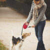 Correa Extensible Flexi New Classic Cordón S (5 M / 12 Kg) - Imagen 18