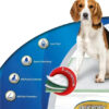 Paños Sanitarios Absorbentes Home guard Perro 56 x 56 cm x 14 Unid - Imagen 2
