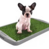 Alfombra Bandeja Sanitaria Pasto Sintético Peepoo Perro Grande Economica