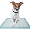 Paños Sanitarios Absorbentes Home guard Perro 56 x 56 cm x 14 Unid - Imagen 3