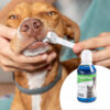 Dental Plax , Antiséptico Bucal Para Mascotas X 250ml - Imagen 4