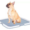 Paños Sanitarios Absorbentes Home guard Perros 56 x 56 cm x 30 Unidades - Imagen 3