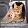 Serenex Feromonas Spray Para Gatos Felinos X 25 Ml - Imagen 4