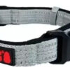 Collar Perro Kong Regulable Acolchado X-large 55-76cm X 38mm