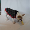 Ropa Perro Buzo Mpc Otto Talle 33 Calidad Premium - Imagen 12