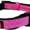 Collar Perro Kong Regulable Acolchado Large 45-66cm X 25mm