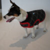 Ropa Perro Buzo Mpc Otto Talle 33 Calidad Premium - Imagen 10