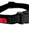 Collar Perro Kong Regulable Acolchado X-large 55-76cm X 38mm - Imagen 12