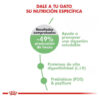 Royal Canin Gato Digestive Care X 1.5 Kg - Imagen 2
