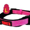 Collar Perro Kong Regulable Acolchado Large 45-66cm X 25mm - Imagen 3
