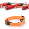 Collar Perros Brakko Premium Nylon Fast Lock Medium 42-64 Cm - Imagen 2