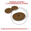 Royal Canin Gato Digestive Care X 1.5 Kg - Imagen 5