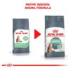 Royal Canin Gato Digestive Care X 1.5 Kg - Imagen 4