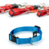 Collar Perros Brakko Premium Nylon Fast Lock Medium 42-64 Cm