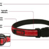 Collar Perro Kong Regulable Acolchado Small 25-35 Cm X 16 Mm - Imagen 13