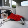 Ropa Perro Polar Mpc Liviana Talle 33 Calidad Premium - Imagen 11