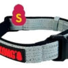 Collar Perro Kong Regulable Acolchado Small 25-35 Cm X 16 Mm