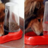 Comedero Bebedero Tolva Ferplast 1,5 Lts - Imagen 6