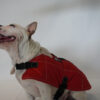 Ropa Perro Manta Mpc Baxer Impermeable C/corderito Talle 35 - Imagen 5