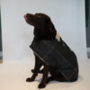 Ropa Perro Manta Mpc Baxer Impermeable C/corderito Talle 45 - Imagen 23