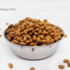 Dogpro Premium Perro Adulto Razas Mini X 3kg - Imagen 5