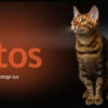 Catpro Gato Adulto Ph Control X 7.5 Kg - Imagen 3