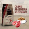 Vitalcan Balanced Natural Recipe Gato Carne X 15 Kg - Imagen 6