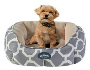 Moisés Para Perros Y Gatos Cocooning Emma Small Gris