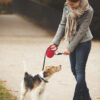 Correa Extensible Flexi New Classic Cordón M (5 M / 20 Kg) - Imagen 12