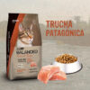 Vitalcan Balanced Natural Recipe Gato Adulto Trucha X 7.5 Kg - Imagen 2