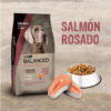 Vitalcan Balanced Natural Recipe Perro Adulto Salmón X 15 Kg - Imagen 3