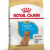 Royal Canin Poodles Puppy x 3kg - Imagen 3