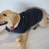 Ropa Perro Abrigo Mpc Jana Jean C/corderito Talle 60 - Imagen 5
