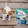 Golocan Snack Dental Care Mordida Chica x 144gr - Imagen 3