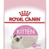 Royal Canin Feline Health Nutrition Kitten 36 Para Gato De Temprana Edad Sabor Mix En Bolsa De 1.5 kg - Imagen 2